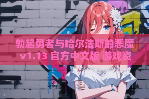 勃起勇者与哈尔法斯的恶魔 v1.13 官方中文版 游戏资源获取