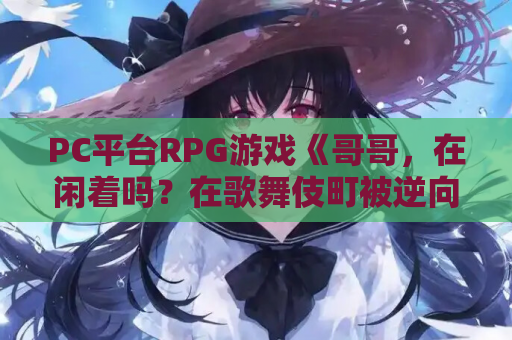 PC平台RPG游戏《哥哥，在闲着吗？在歌舞伎町被逆向搭讪，已经结束了》AI汉化版 歌舞伎町奇妙邂逅 PC端资源