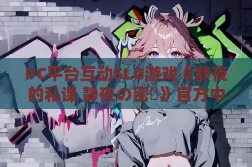 PC平台互动SLG游戏《静夜的私课 静夜の密課》官方中文版 PC游戏资源