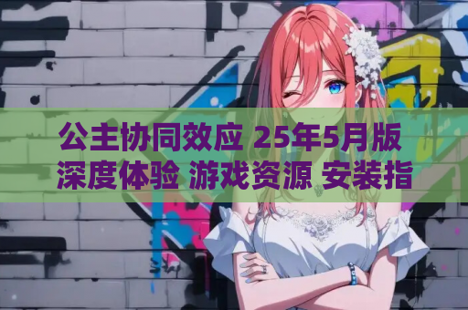 公主协同效应 25年5月版 深度体验 游戏资源 安装指南